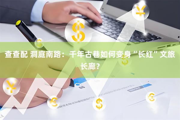 查查配 洞庭南路：千年古巷如何变身“长红”文旅长廊？