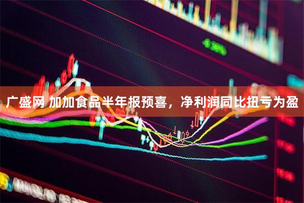 广盛网 加加食品半年报预喜，净利润同比扭亏为盈