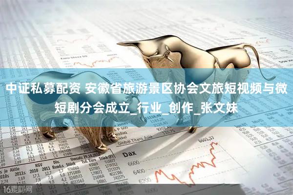 中证私募配资 安徽省旅游景区协会文旅短视频与微短剧分会成立_行业_创作_张文妹