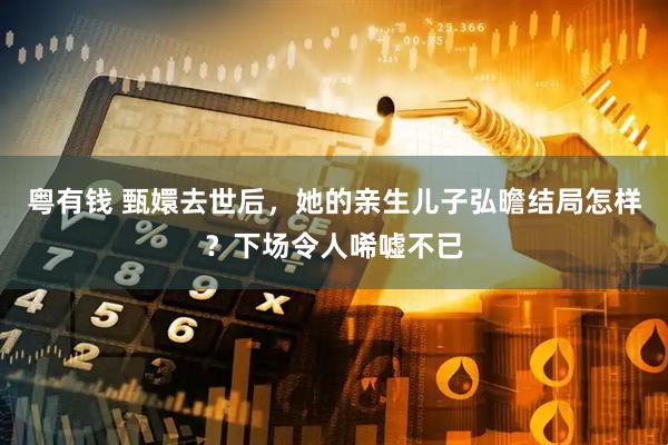 粤有钱 甄嬛去世后,她的亲生儿子弘曕结局怎样?下场令人唏嘘不已
