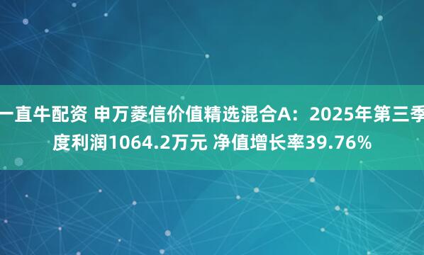 一直牛配资 申万菱信价值精选混合A：2025年第三季度利润1064.2万元 净值增长率39.76%