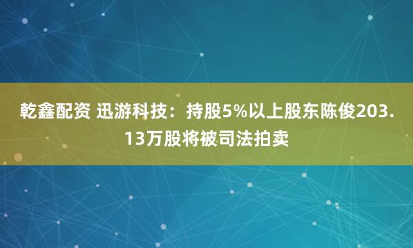 乾鑫配资 迅游科技：持股5%以上股东陈俊203.13万股将被司法拍卖
